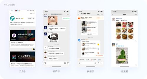 個人互聯(lián)網(wǎng)服務運營 你必須掌握的核心知識與實戰(zhàn)策略